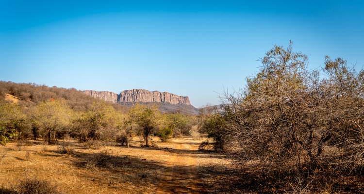 Dry scrub landscape leading to distant rocky cliffs beneath a clear blue sky