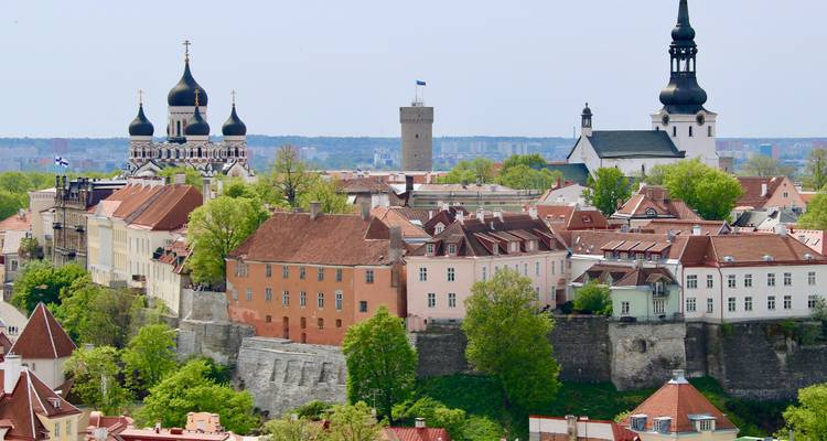 Tallinn Altstadt Skyline mit charakteristischen Zwiebeldächern und Pastellgebäuden