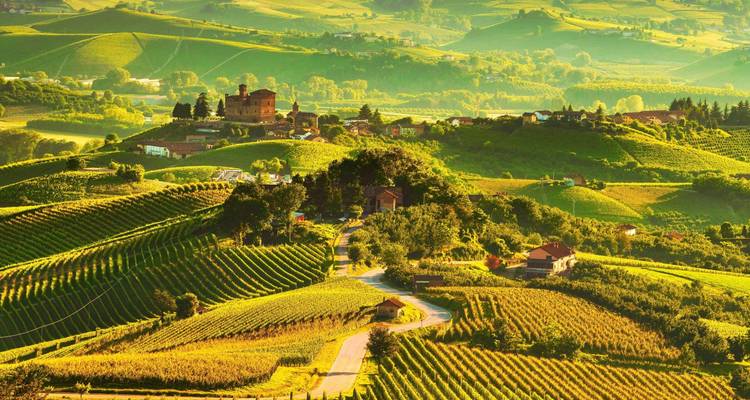 Des collines toscanes ondulantes couvertes de vignobles organisés et de fermes dispersées dans la lumière chaude de fin d'après-midi.