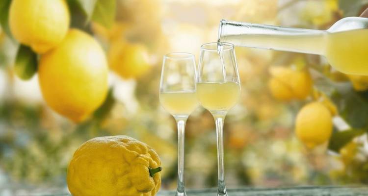 Gros plan de deux verres remplis de limoncello à côté de citrons frais dans une lumière dorée douce.