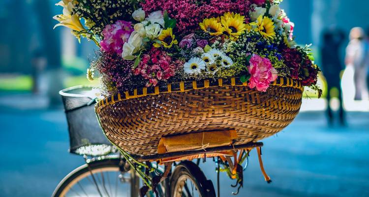Nahaufnahme eines Blumenkarren, der mit leuchtend farbigen frischen Blumen überquillt, auf einer Stadtstraße