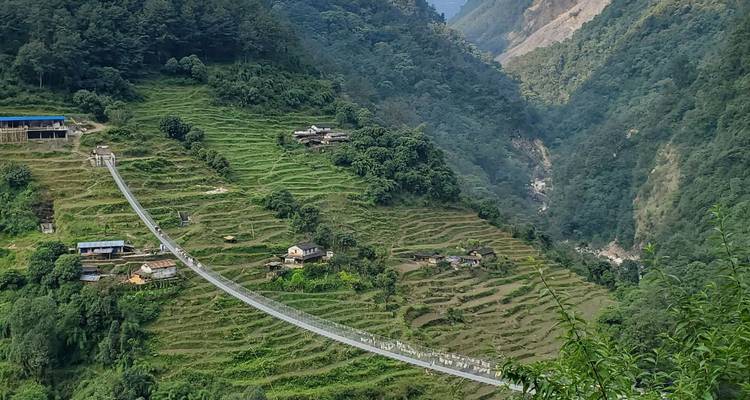 Un largo puente colgante atraviesa laderas verdes en terrazas en un valle profundo.