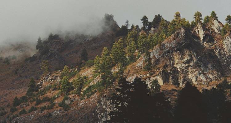 Cresta de montaña boscosa y brumosa con caras rocosas escarpadas emergiendo entre las nubes