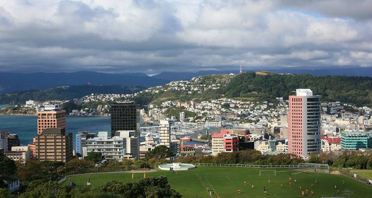 Panoramablick über die Stadt Wellington, den Hafen und das Sportplatz unter Wolken.