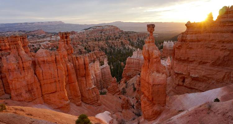 El amanecer proyectando luz dorada sobre los altos hoodoos y el anfiteatro boscoso del Cañón Bryce.