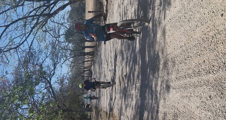 Grupo de ciclistas de montaña en un amplio camino de grava bordeado de árboles sin hojas bajo un cielo azul