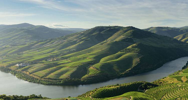 Les terrasses verdoyantes des vignobles s'étendent sur les collines onduleuses de la vallée du Douro.