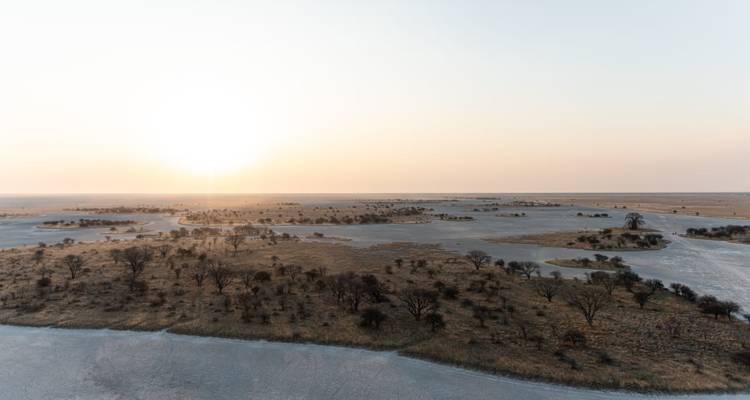 Golden sun rises over flat savannah dotted with low trees and shimmering salt surface.