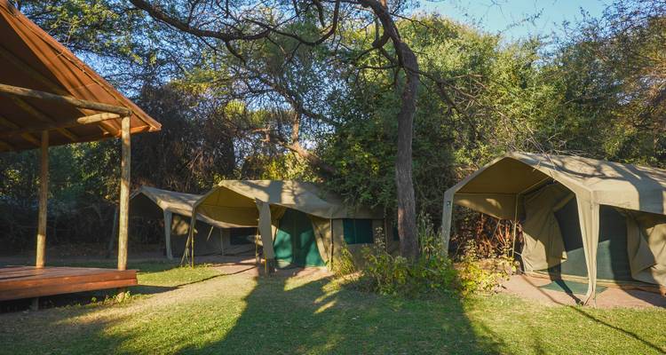 Permanent safari tents nestled among shady trees beside a wooden deck in soft morning light.