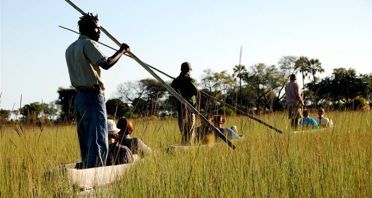 Guides pole wooden canoes through tall reeds while seated travellers glide across shallow water.