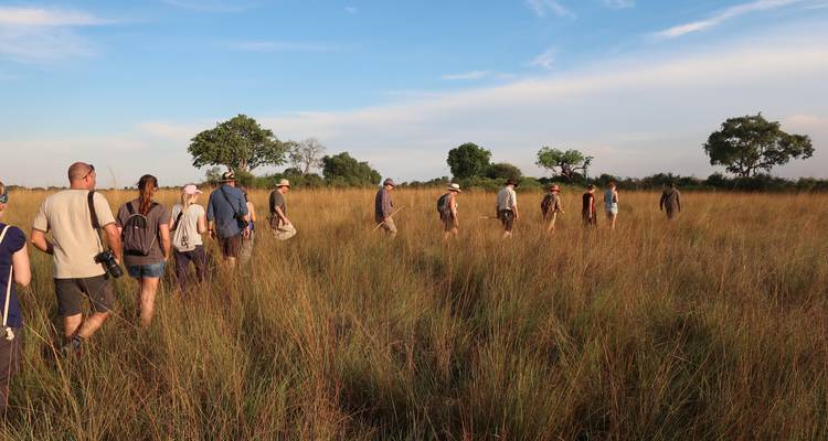 Long line of travellers walk through tall golden grass under bright afternoon sky.