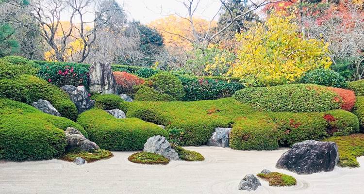 Sorgfältig gepflegter Zen-Garten mit moosbedeckten Hügeln, Steinen und geharkttem weißen Kies, umgeben von Herbstfarben.