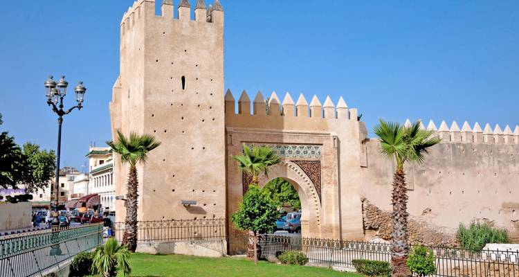 Puerta histórica de la ciudad con muros de torres almenadas, palmeras y cielo azul despejado.