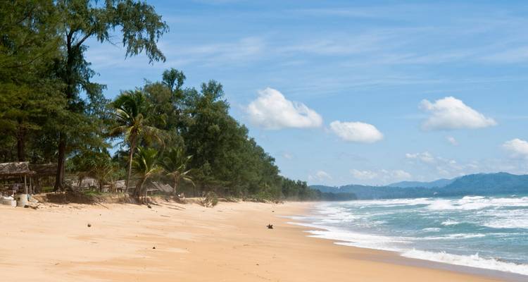 Ruhiger Strandabschnitt mit goldenem Sand, gesäumt von Palmen und sanften Wellen unter blauem Himmel.