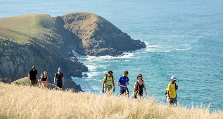 Un pequeño grupo sube caminando por una ladera de pasto dorado que domina acantilados escarpados y el mar.