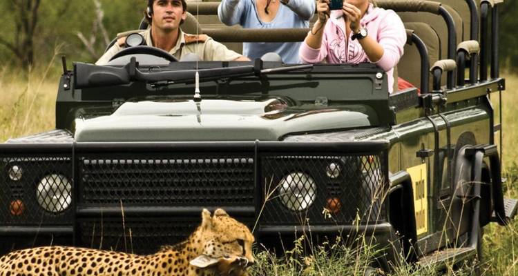 Safari abierto 4x4 con turistas fotografiando un guepardo que pasa por la sabana herbosa