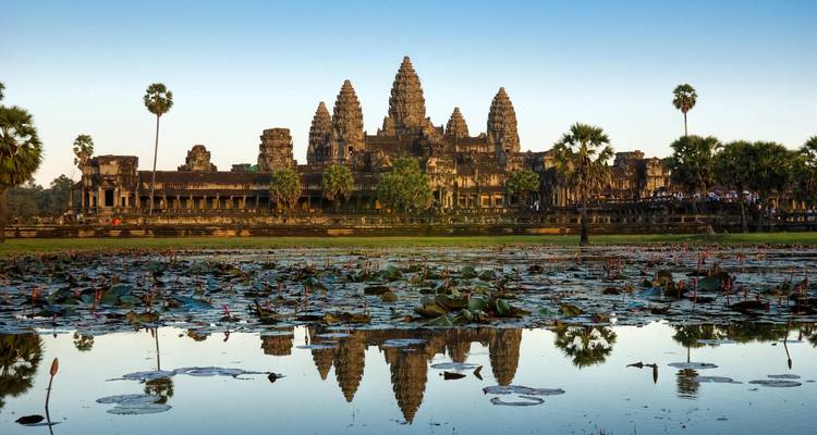El templo de Angkor Wat reflejado perfectamente en un foso cubierto de lotos al amanecer.
