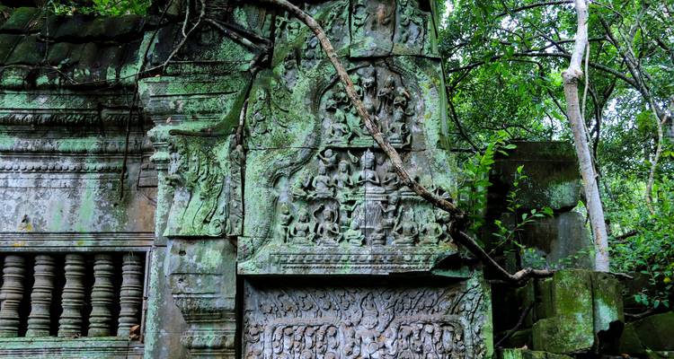 Gebeeldhouwd bas-reliëf paneel op mosachtig zandsteenoppervlak omwonden met wortels bij een jungle tempel.