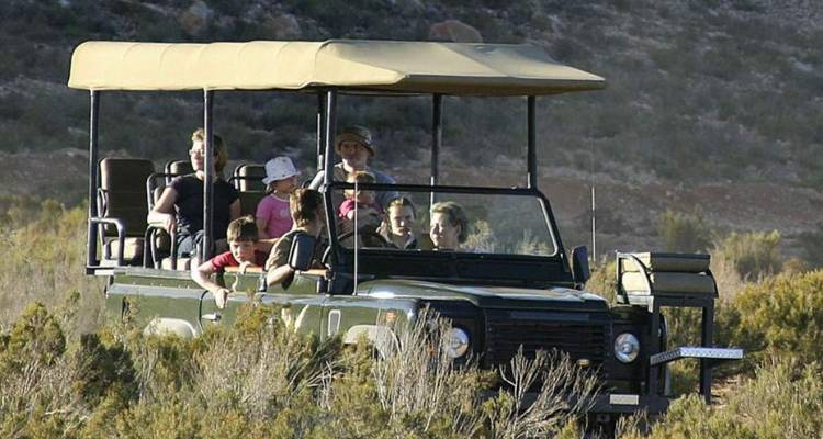 Vehículo de safari al aire libre con viajeros conduciendo a través de maleza en una reserva de caza.