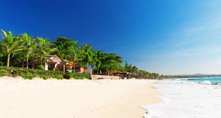 Palmbomen, wit zandstrand en azuurblauwe zee onder een levendige blauwe hemel.