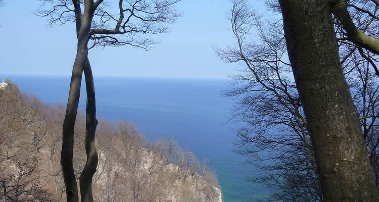 Vista del mar azul tranquilo enmarcado por un bosque sin hojas en el borde de un acantilado danés.