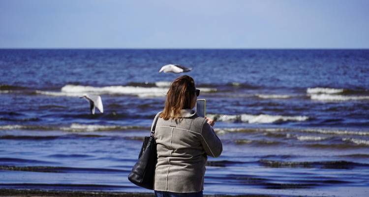 Frau fotografiert Möwen über sanften Wellen der Ostsee von einem Sandstrand aus
