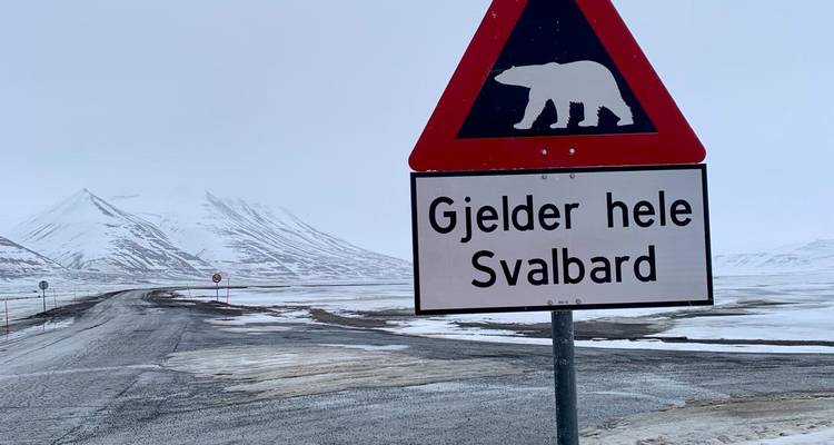 Señal de advertencia triangular roja con gráfico de oso polar y texto en noruego ubicada en un desolado paisaje nevado.