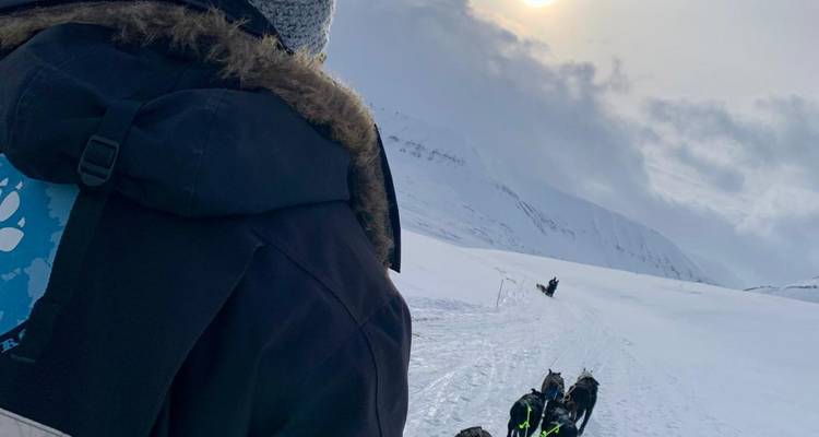 Un guía con abrigo de invierno observa a un equipo de perros de trineo jalando un trineo a través de un valle nevado bajo un sol pálido.