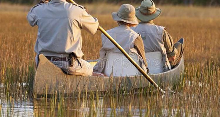 Tres viajeros remando en una canoa a través de agua llena de juncos bajo una luz dorada