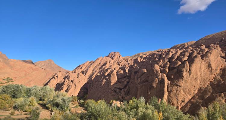 Las impresionantes formaciones de roca roja conocidas como Dedos de Mono se alzan sobre un valle verde bajo un cielo azul profundo.