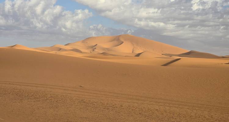 Vista panorámica de las dunas de arena dorada del Sahara bajo un cielo lleno de nubes con textura.