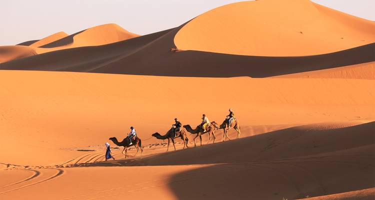 Una fila de camellos conducidos por un guía atraviesa las dunas de arena dorada proyectando largas sombras en el Sahara.