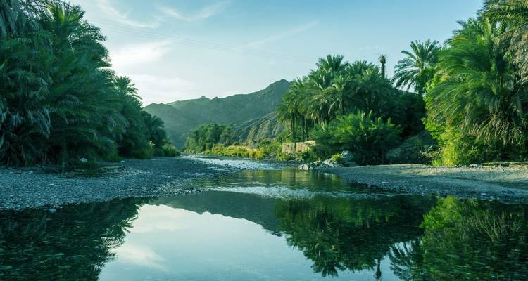 Weelderige groene wadi met palmbomen en reflecterende beek omgeven door bergen