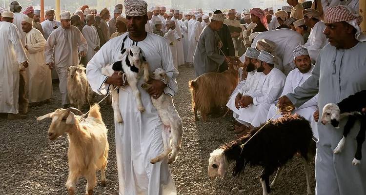 Marché aux bestiaux animé avec des hommes vêtus de costumes omanais traditionnels conduisant des chèvres et des moutons