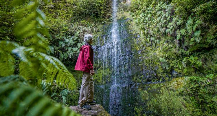 Wanderer in roter Jacke, der auf einen schlanken Wasserfall in einer üppig grünen Schlucht blickt.