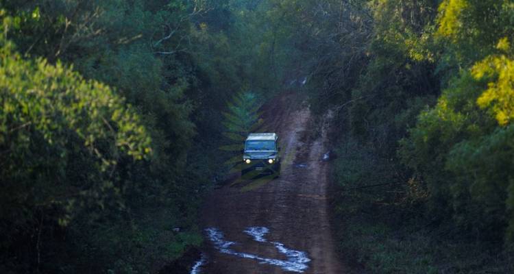 Un vehículo 4x4 conduciendo por un camino de la jungla lleno de barro al atardecer con una marca de agua superpuesta.