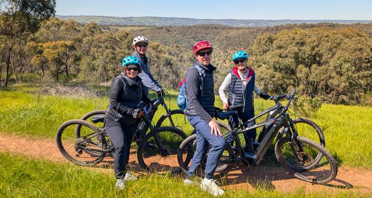 Vier Radfahrer in Helmen und Outdoor-Kleidung posieren auf Mountainbikes entlang eines grasbewachsenen Pfades mit Hügellandschaft im Hintergrund.