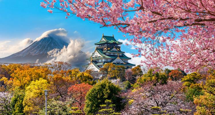 Osaka Castle erhebt sich inmitten von lebhafter Herbst- und Kirschblütenvegetation, während der schneebedeckte Berg Fuji im Hintergrund unter einem strahlend blauen Himmel aufragt.