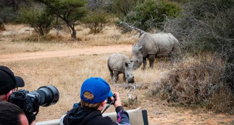 Fotógrafos en un vehículo abierto capturan a una madre rinoceronte y su cría pastando en la sabana árida.