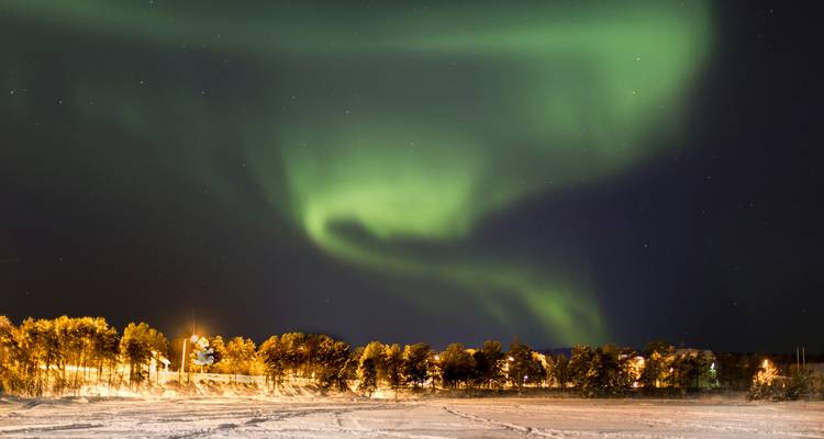 Briljant groen noorderlicht dat in wervelingen over een sterrenhemel zwiert boven besneeuwde bomen.