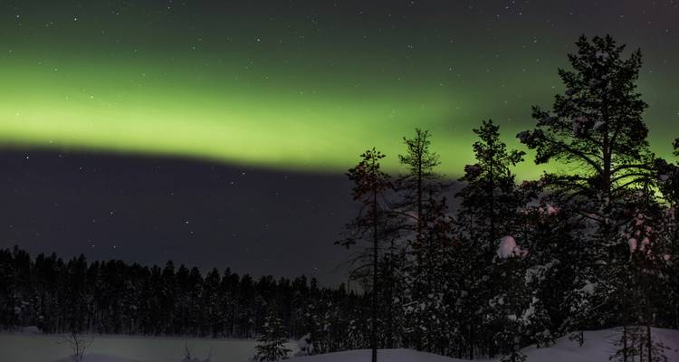 Groen aurora-lint dat gloedit boven donkere dennen en een sneeuwachtig landschap.