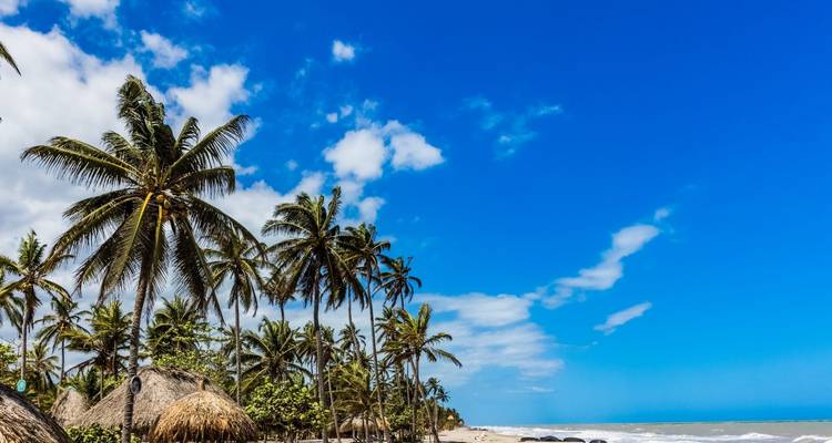Palm-fringed Caribbean beach with thatched huts and bright blue sky along Colombia’s coast.