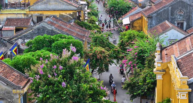 Bird’s-eye view of Hoi An’s tiled rooftops threaded with lush flowering trees and narrow lanes.