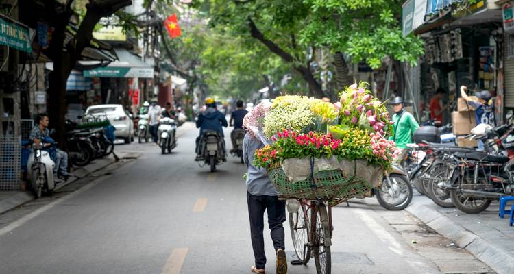 Fahrrad, das mit bunten frischen Blumen beladen ist und durch eine baumreiche Straße im Alten Viertel von Hanoi geschoben wird.