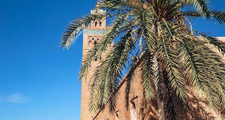 Les grandes frondes de palmiers encadrent un minaret en pierre rouge sur un ciel bleu éclatant de Marrakech.