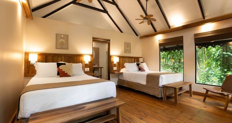 A bright lodge room with two double beds, wooden floors, and rainforest views through large windows.