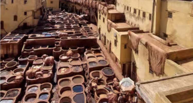 High view of tannery pits with hides drying, image slightly blurry and low detail.