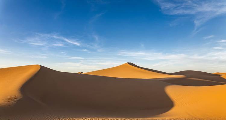 Golden sand dunes with graceful curves under a vivid blue sky