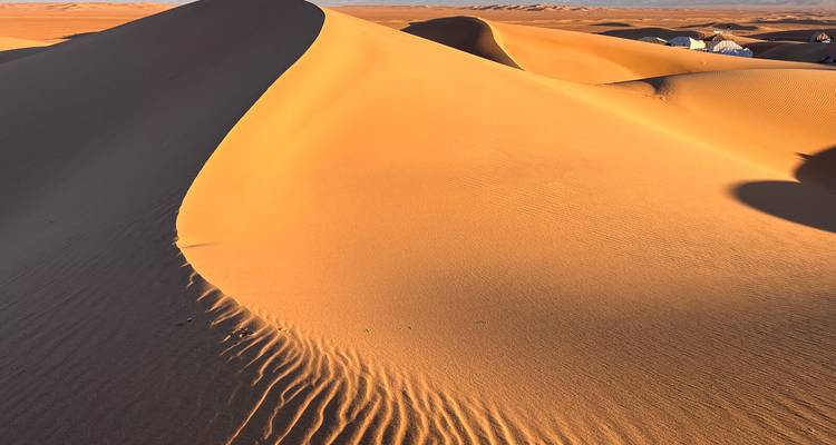 Close view of sharply ridged sand dune with sweeping curves and texture