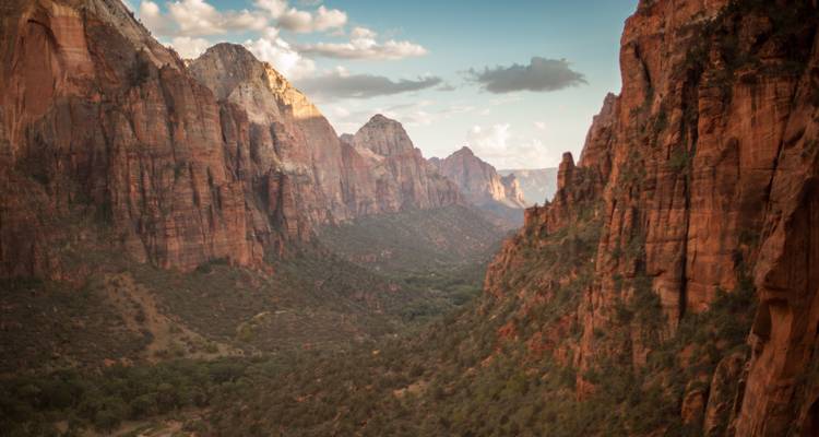 Brede groene vallei omgeven door uittorenende rode rotswanden onder een zachte avondhemel (Zion Canyon).